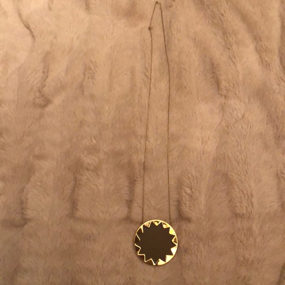 House of Harlow Starburst Necklace Brown